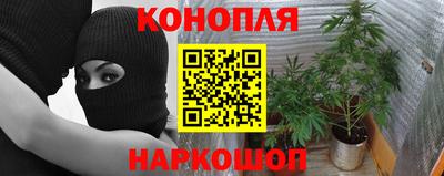 mdpv Шебекино