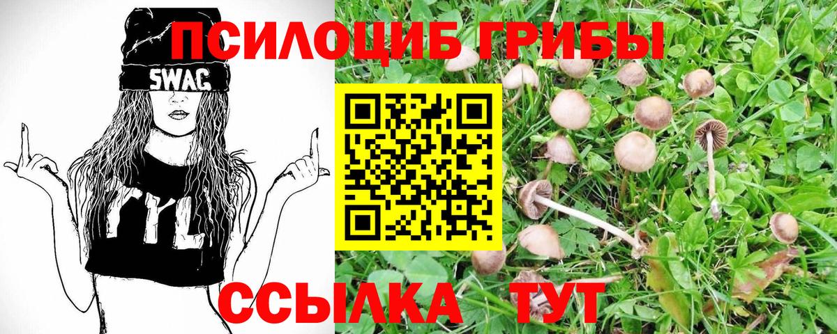 Галлюциногенные грибы GOLDEN TEACHER Вязники