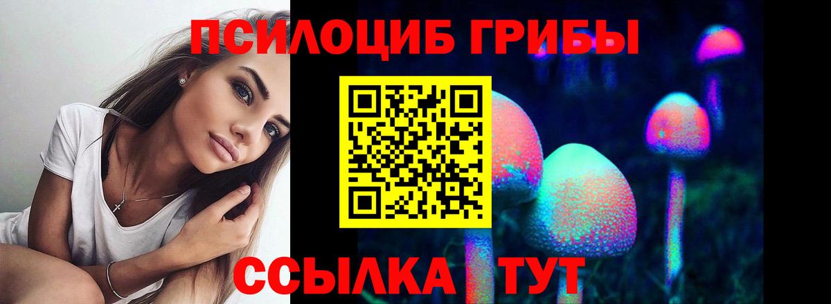 Псилоцибиновые грибы Psilocybine cubensis  Вход с VPN  сколько стоит  Вязники 